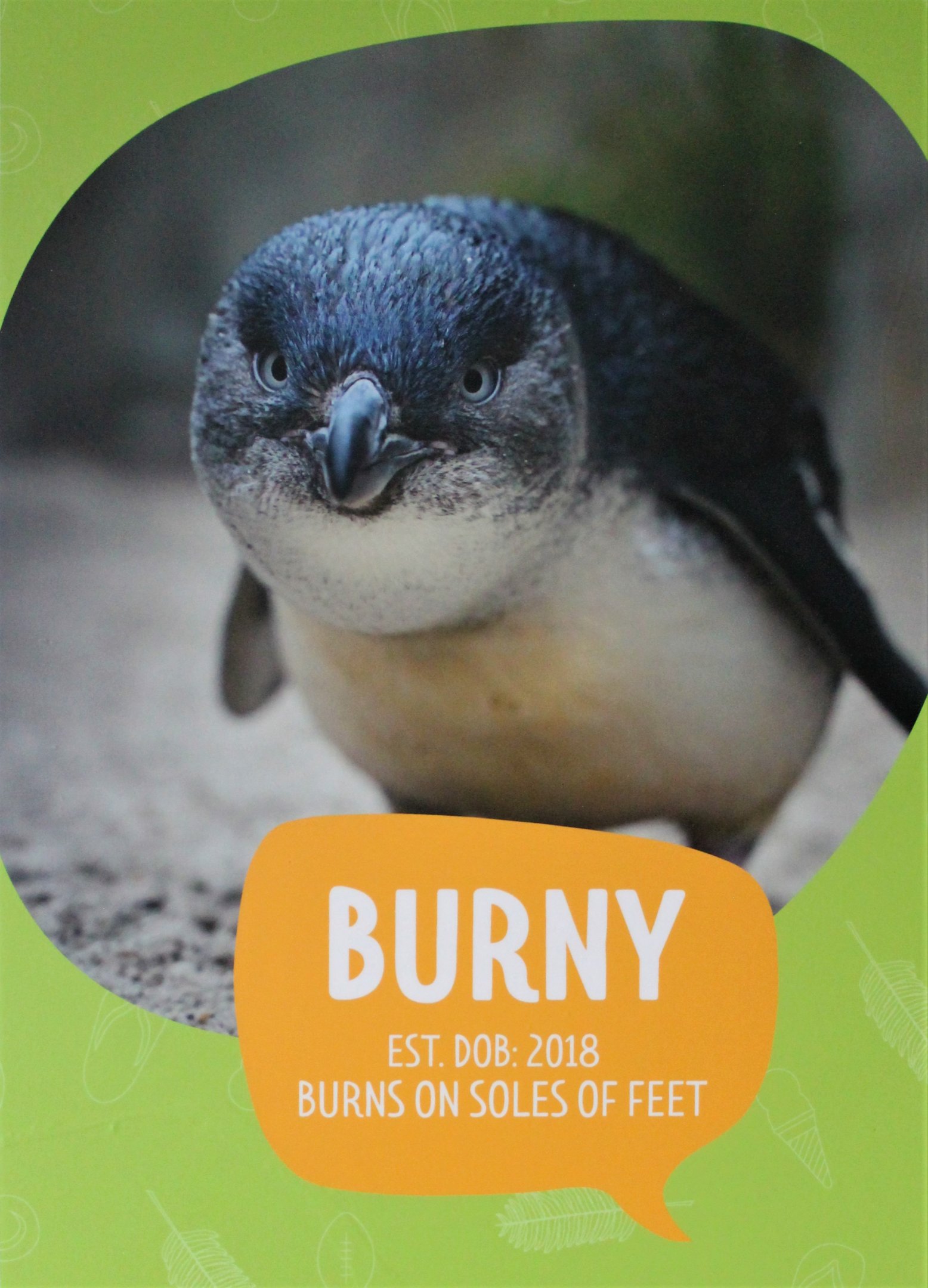 Penguin individual signage