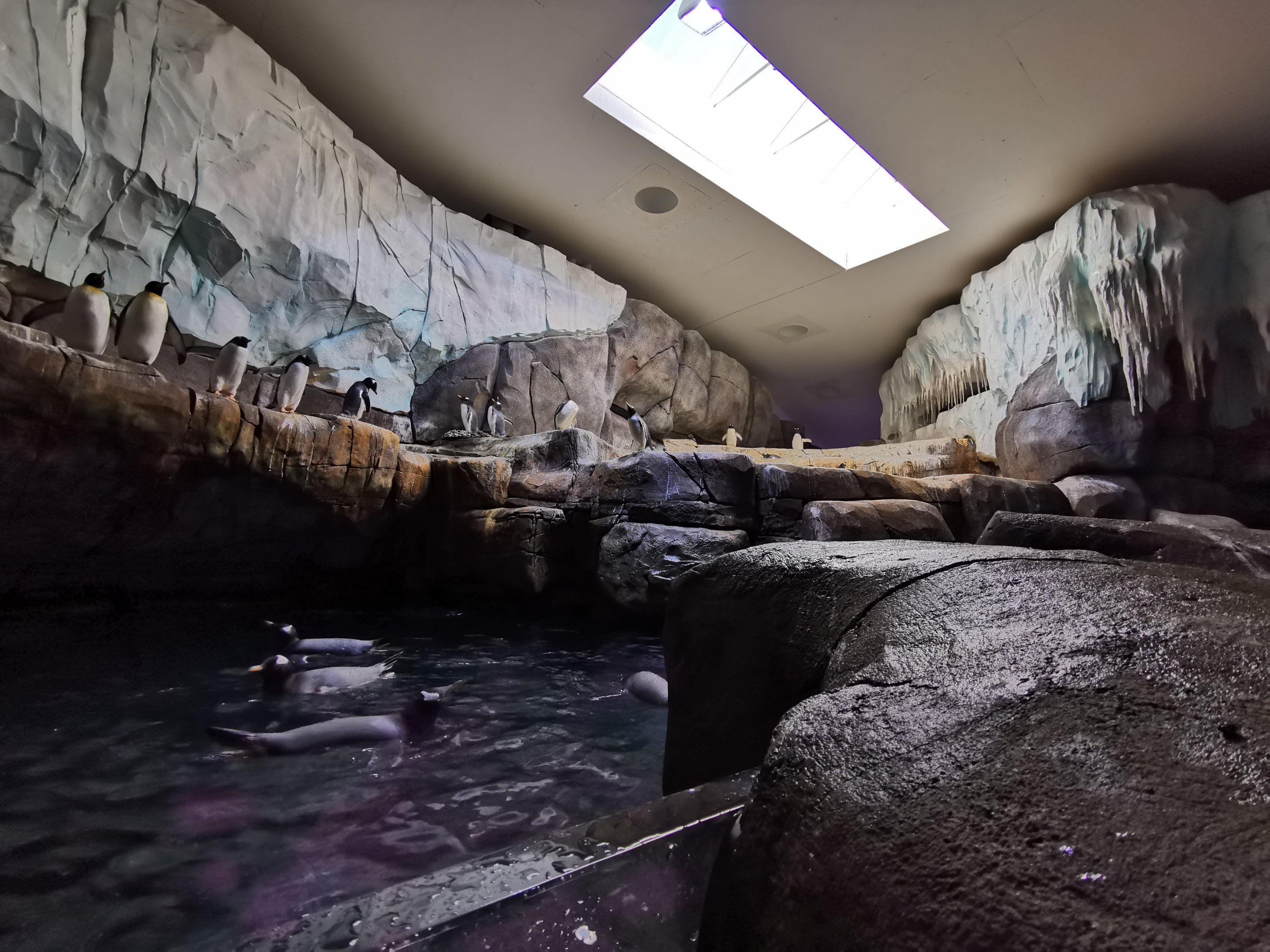 Penguin indoor exhibit, Eismeer - Tierpark Hagenbeck