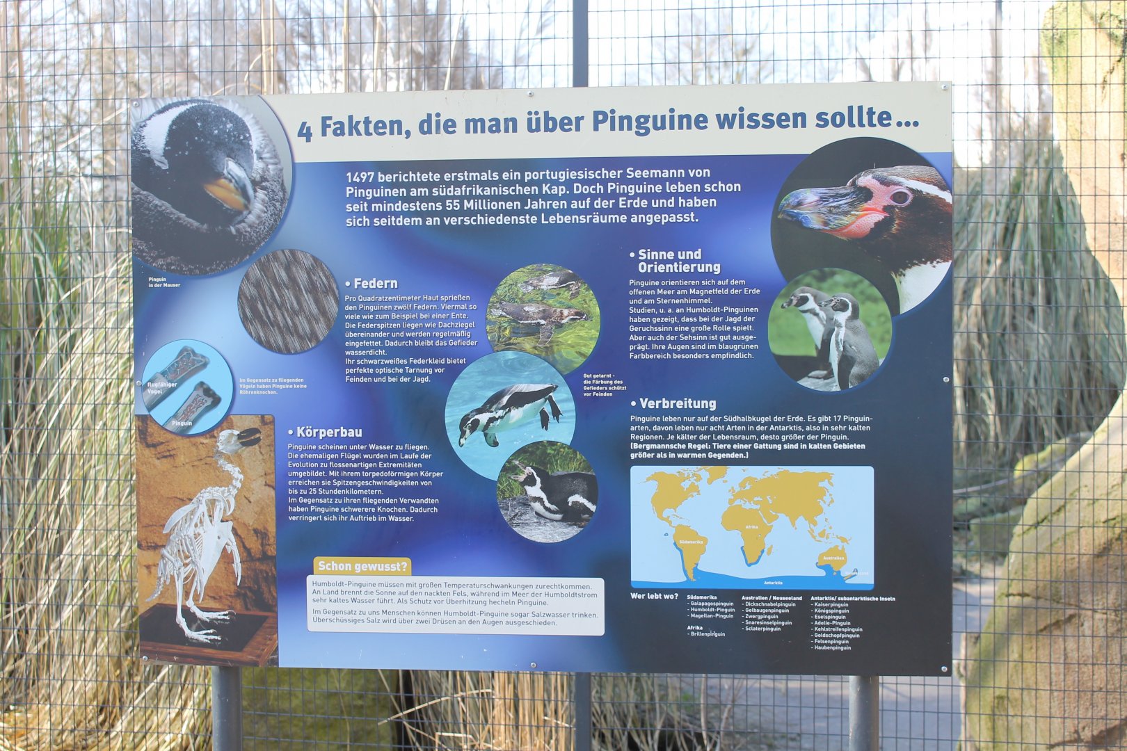 Penguin-info sign