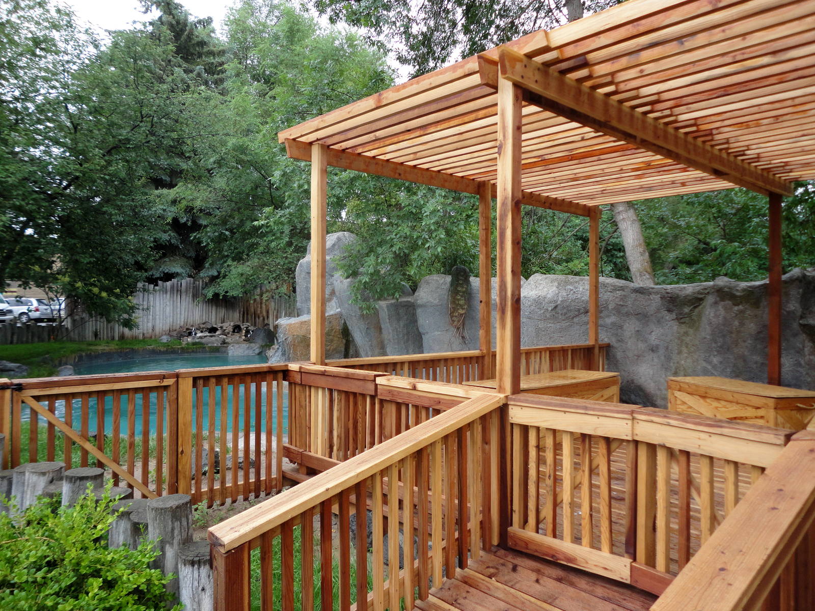 Penguin Interaction Area