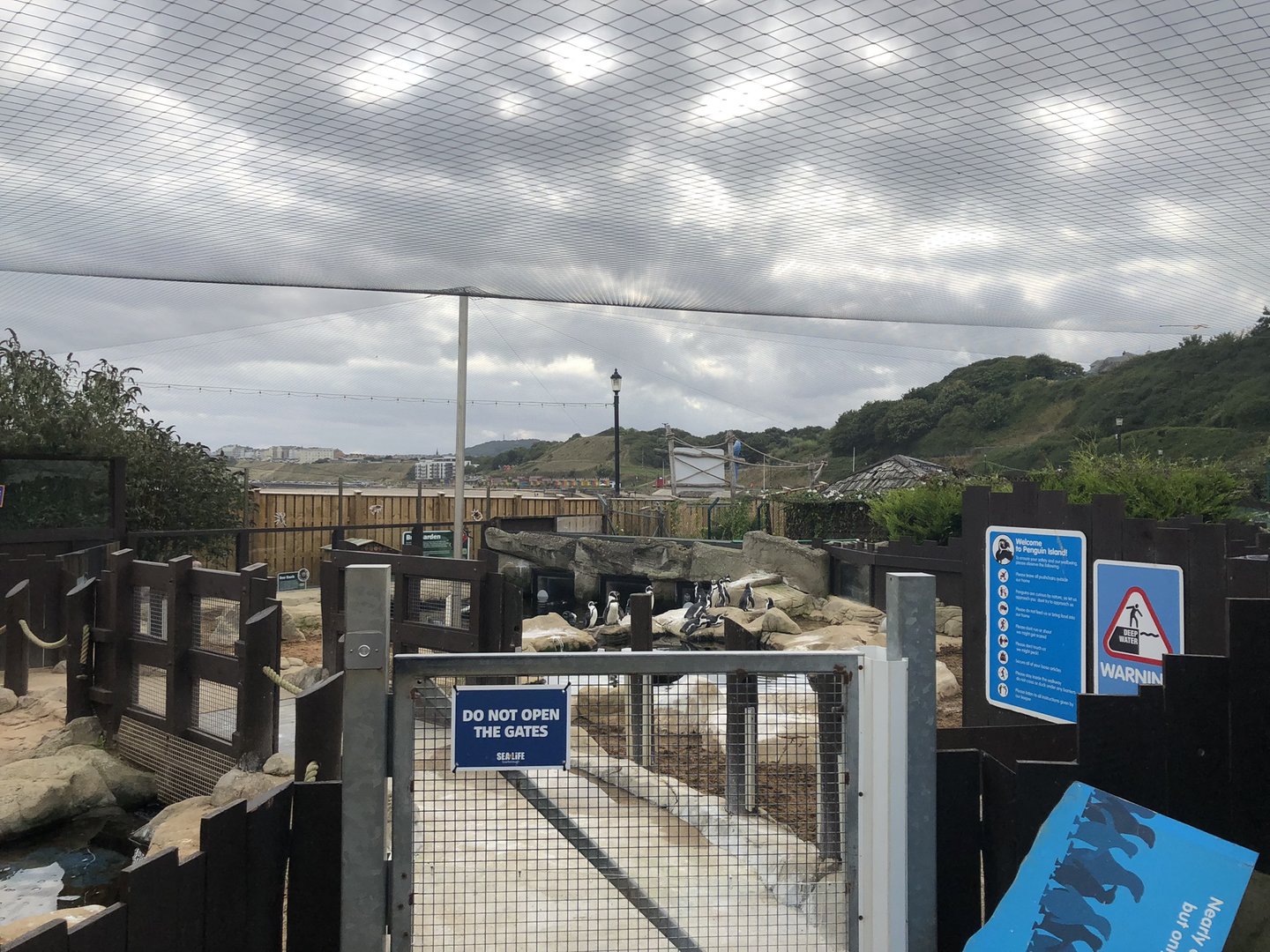 Penguin Island at SEA LIFE Scarborough (September 2022)