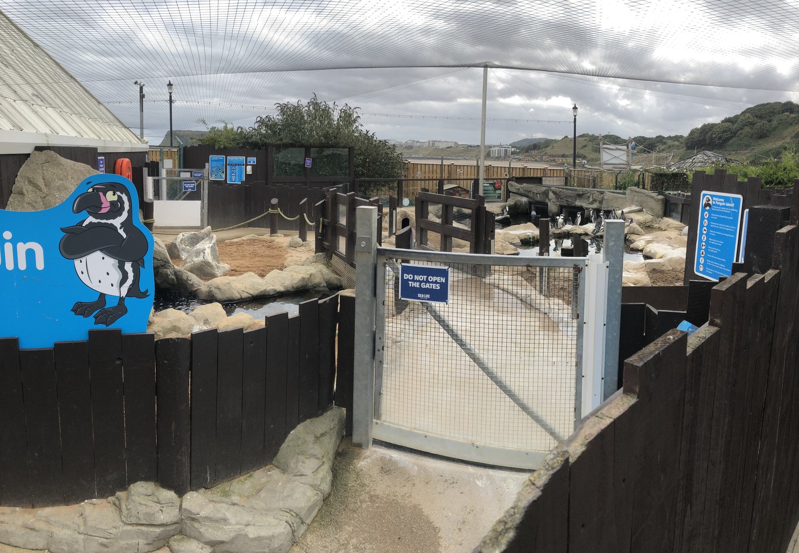 Penguin Island at SEA LIFE Scarborough (September 2022)
