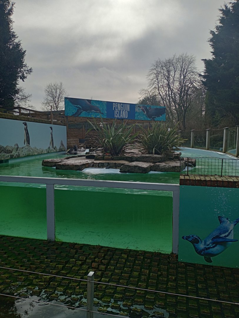 Penguin Island