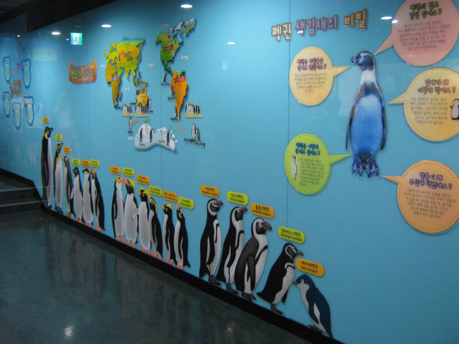 penguin line-up