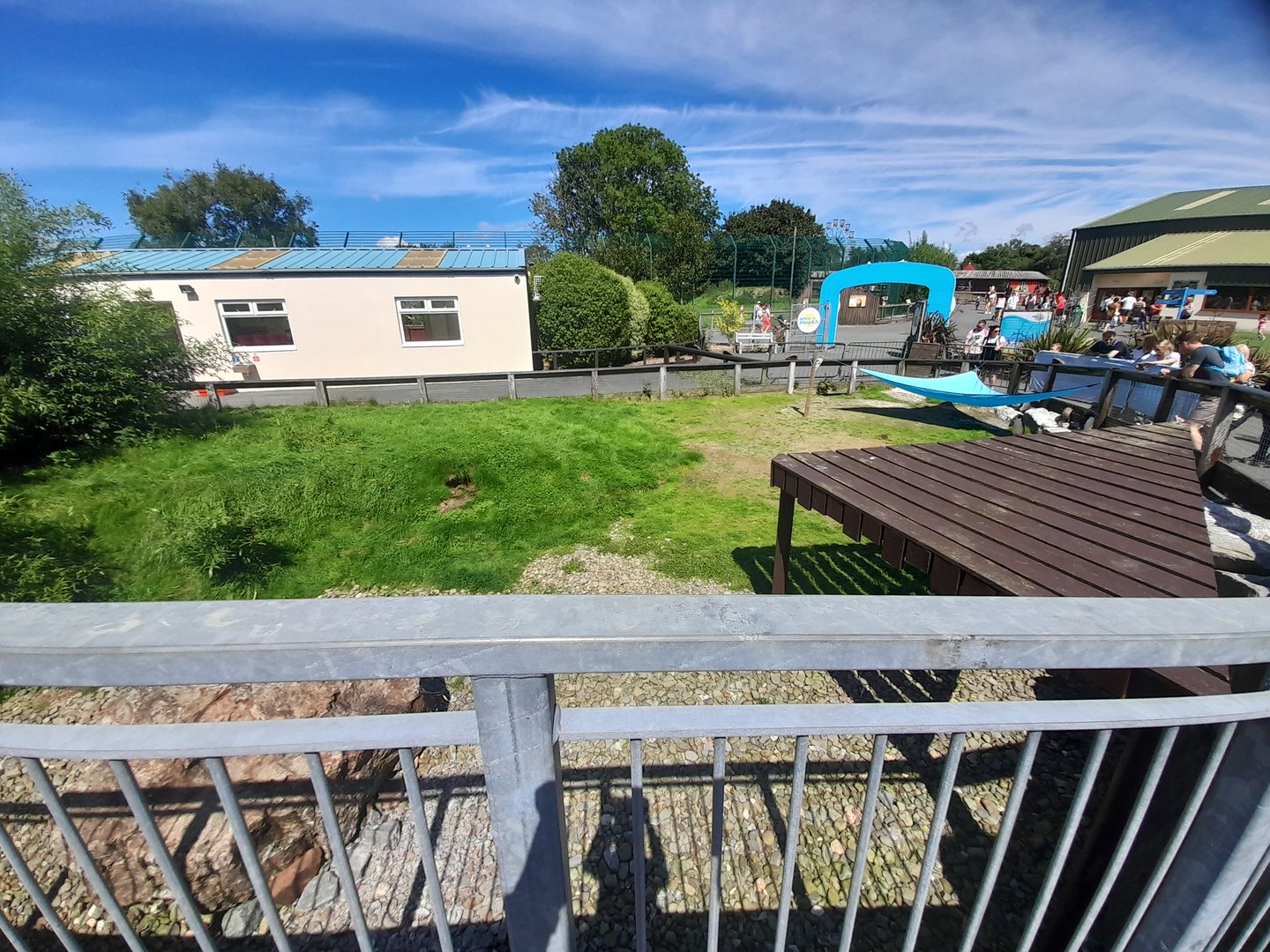 Penguin - outdoor area A