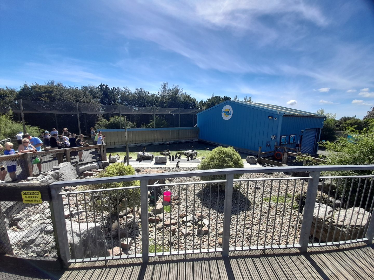 Penguin - outdoor area B