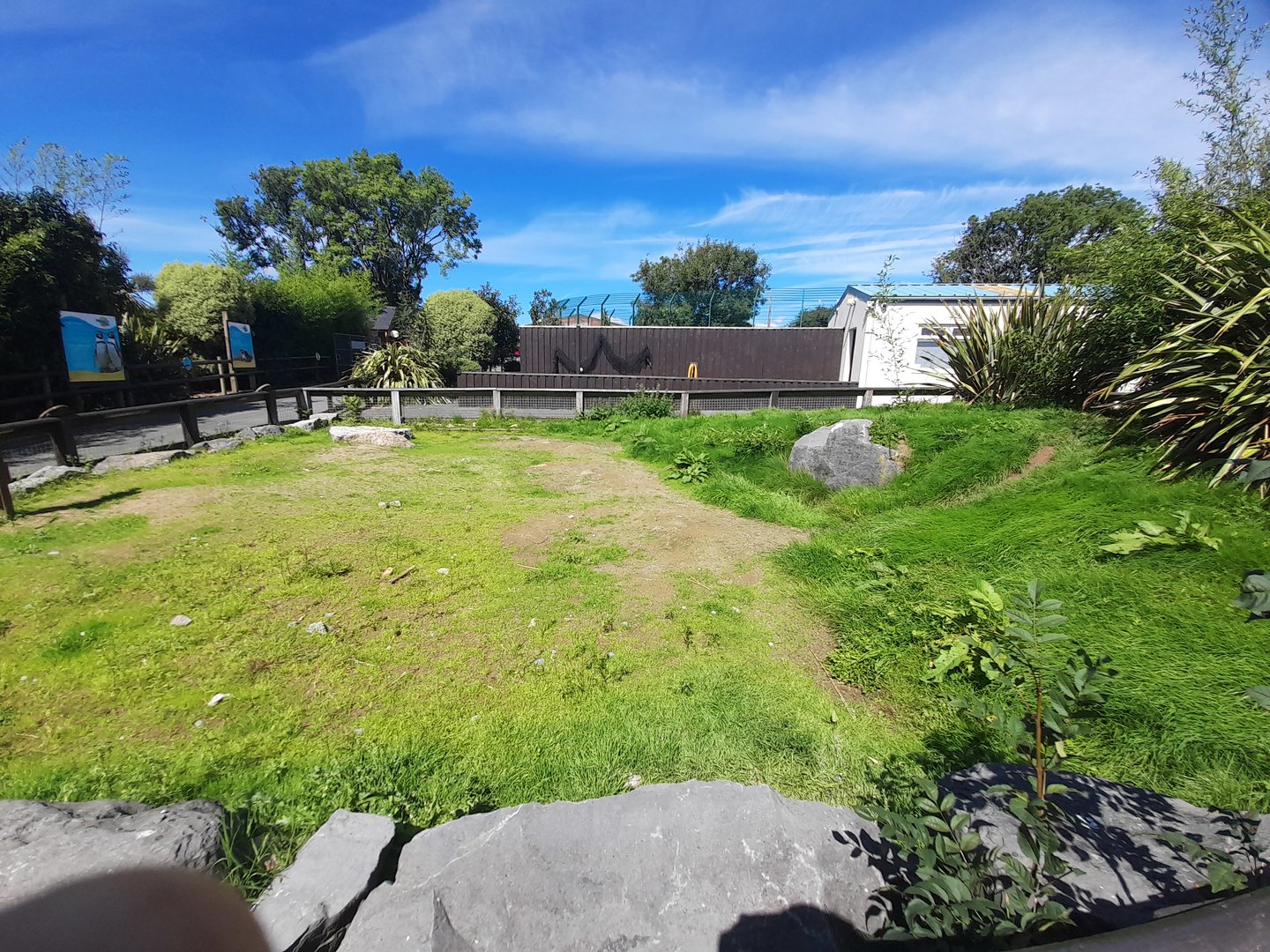 Penguin - outdoor area C