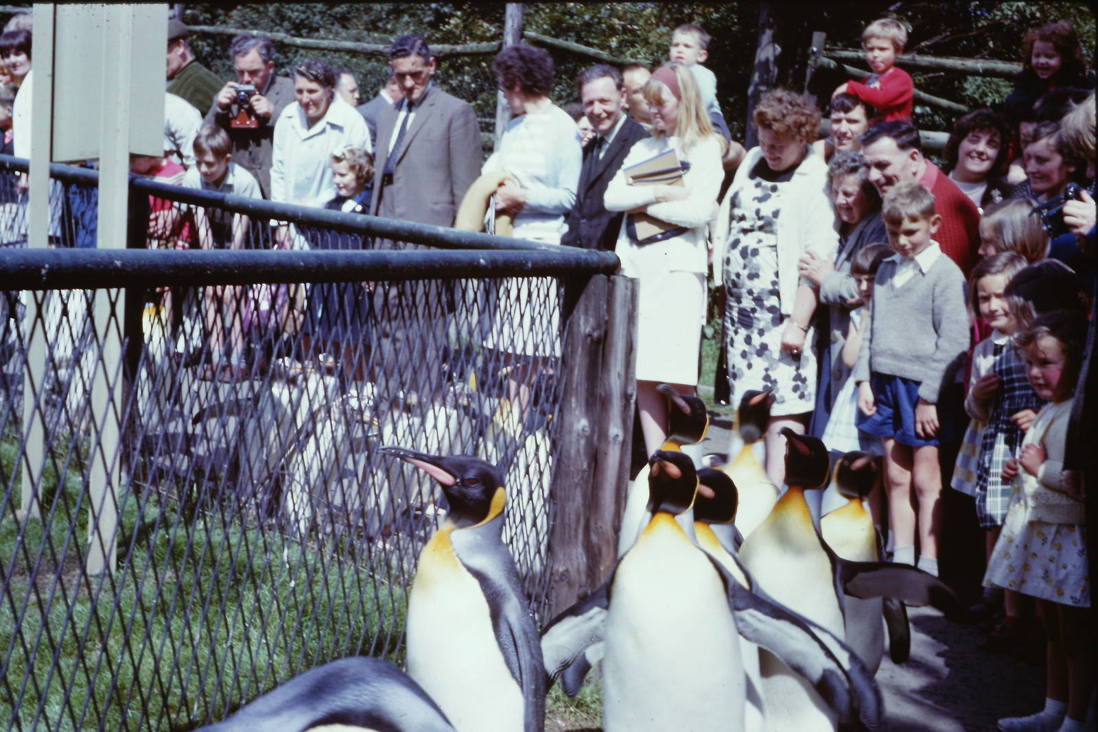 Penguin Parade, July 1965