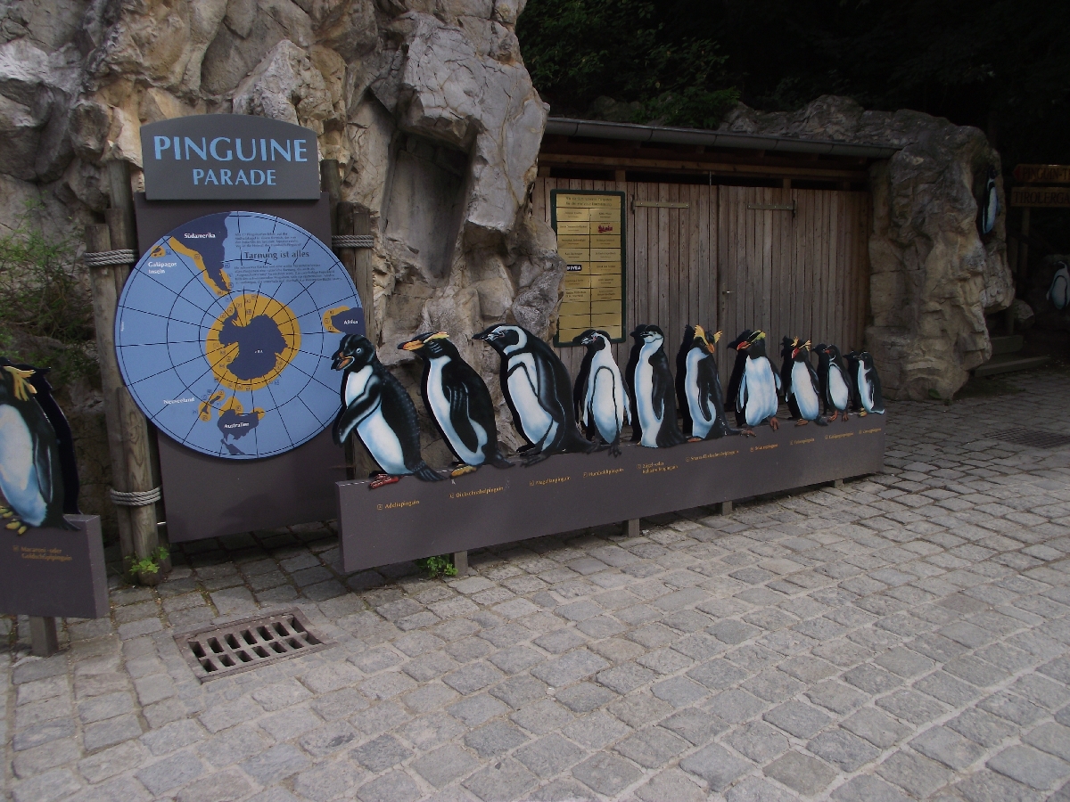 Penguin Parade