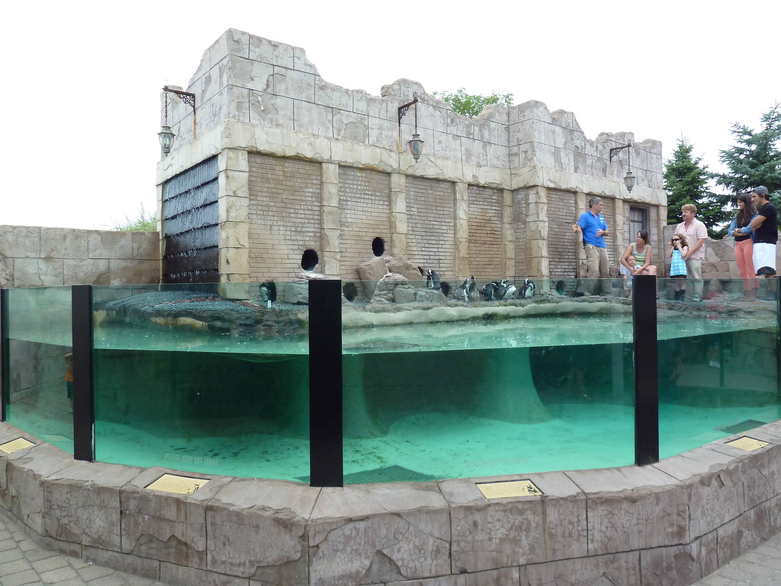 Penguin Pavilion - Black-Footed Penguin Exhibit