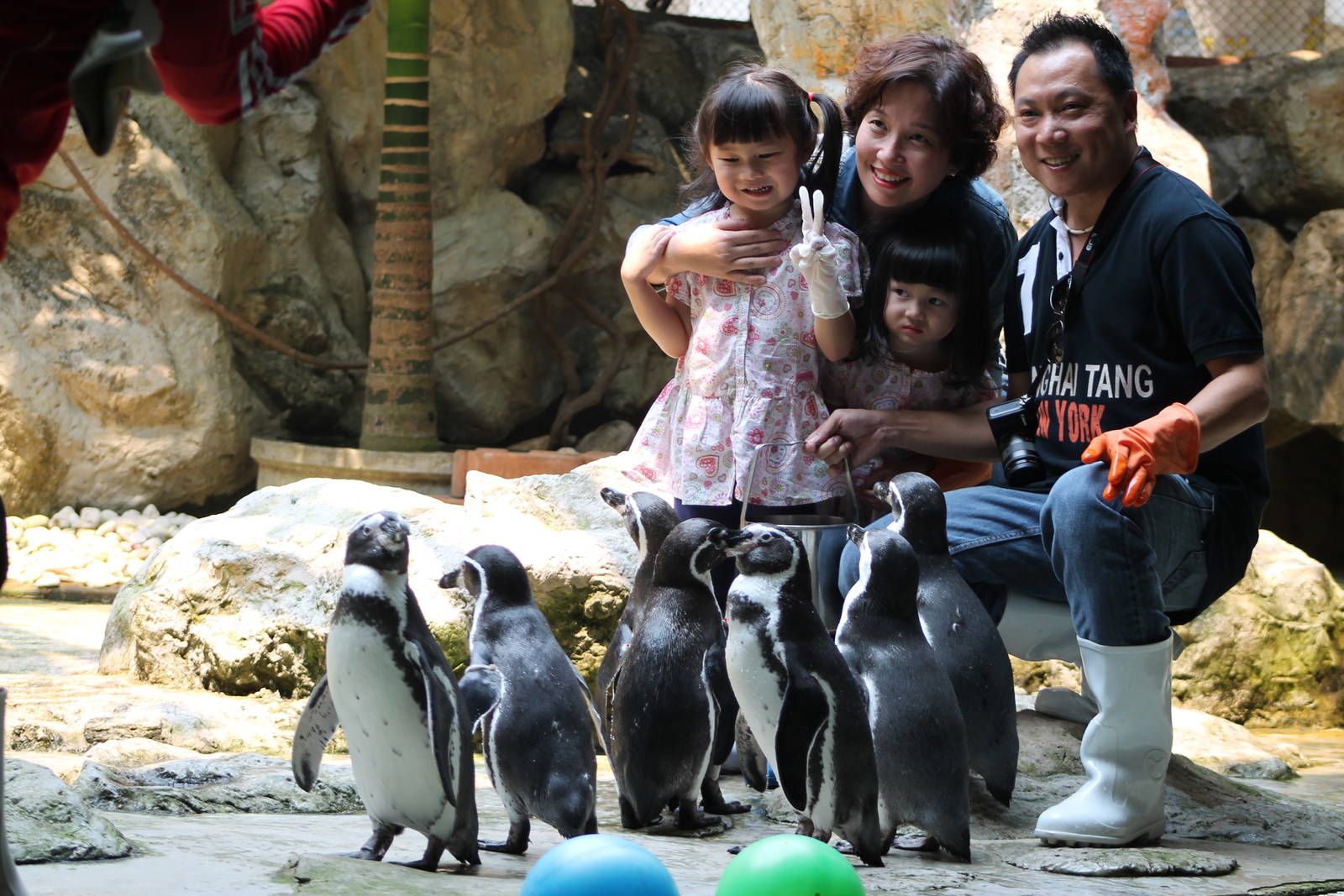 penguin photo-opportunity