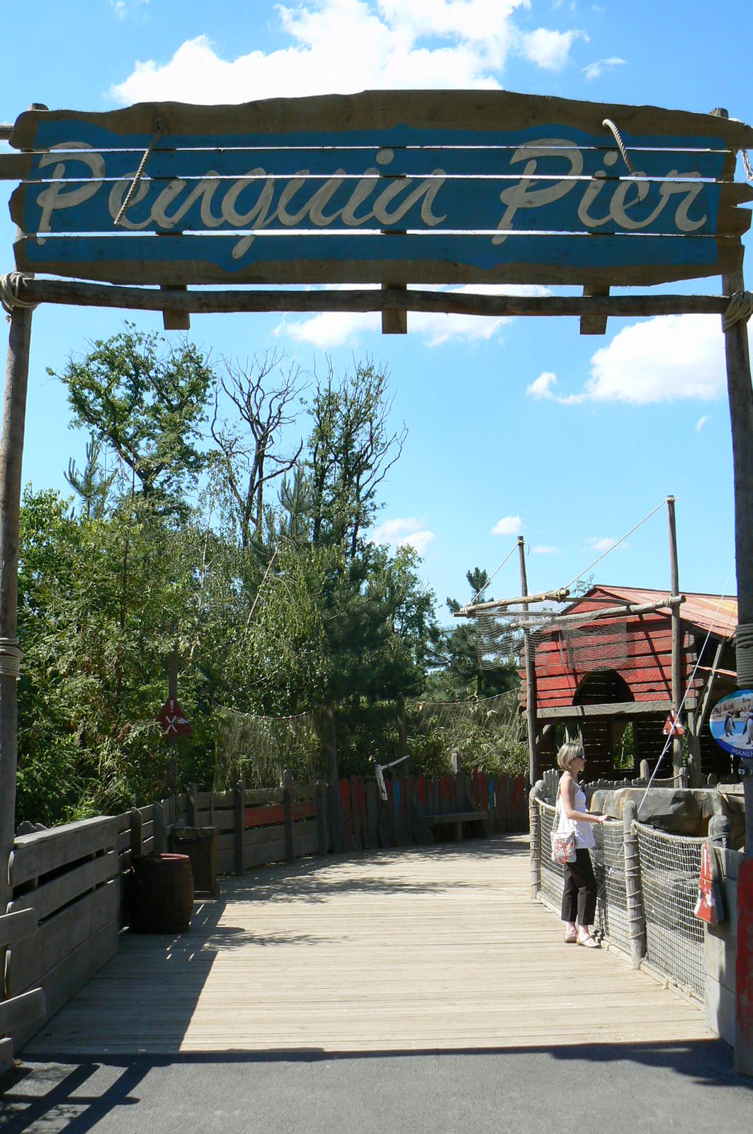 Penguin pier - general view