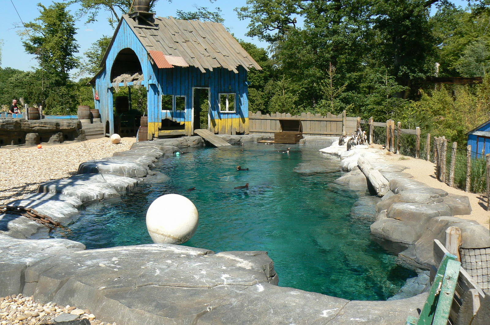 Penguin pier - penguins pool
