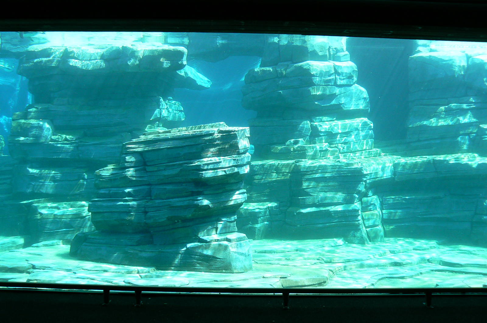 Penguin pier - second and main underwater viewing
