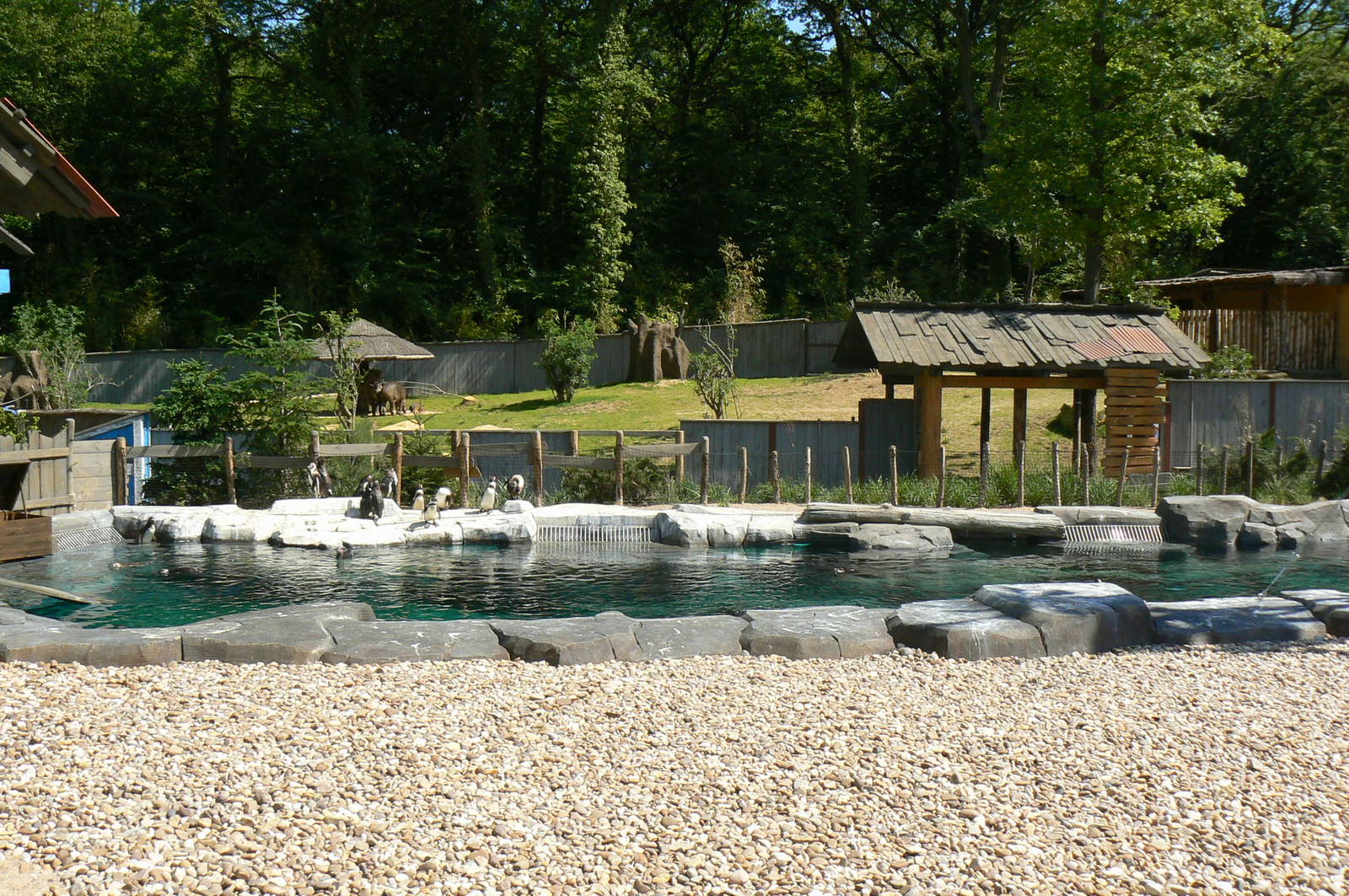 Penguin pier - view on the pool and the tapirs and giant anteaters exhibit
