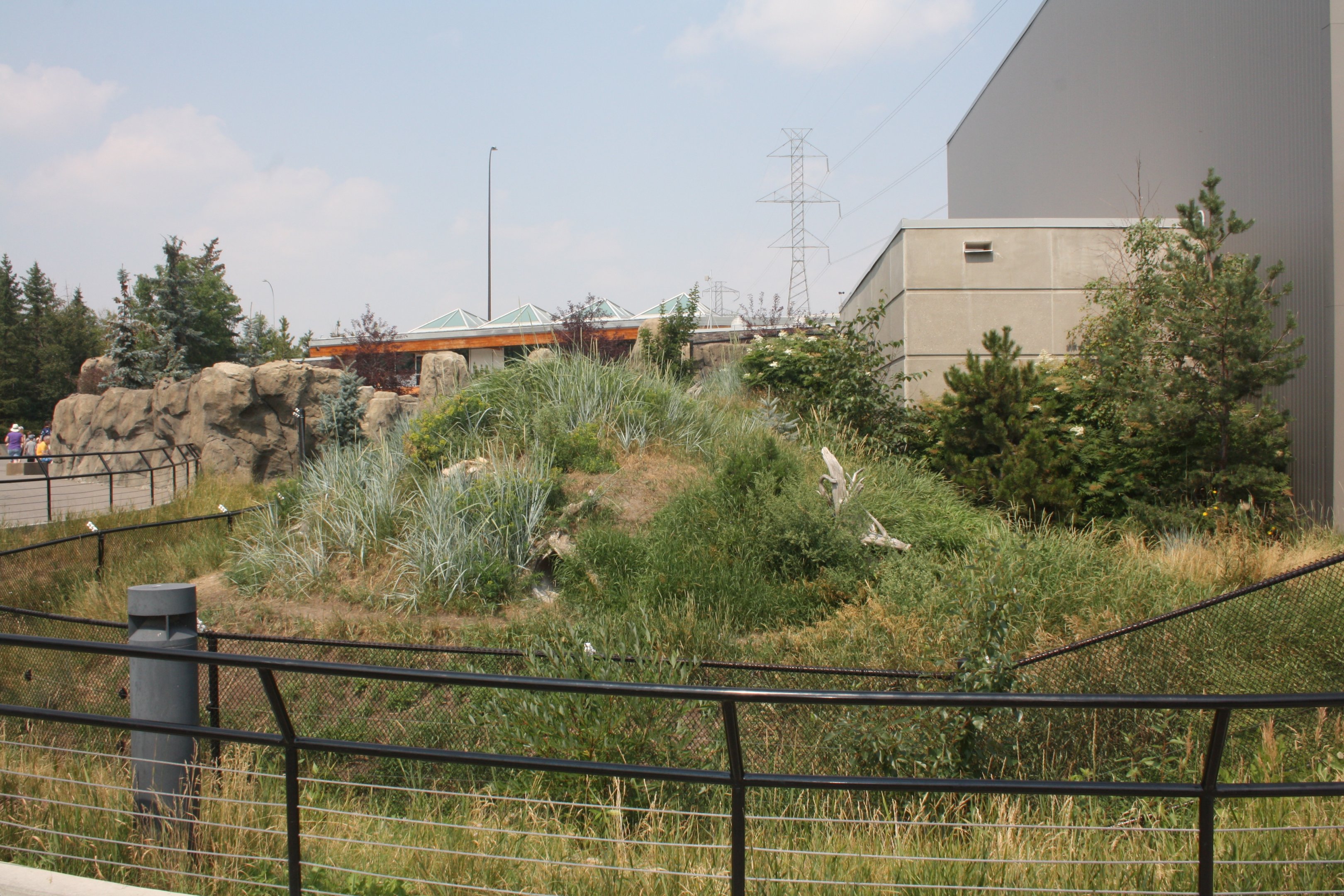 Penguin Plunge - Humboldt Penguin Exhibit