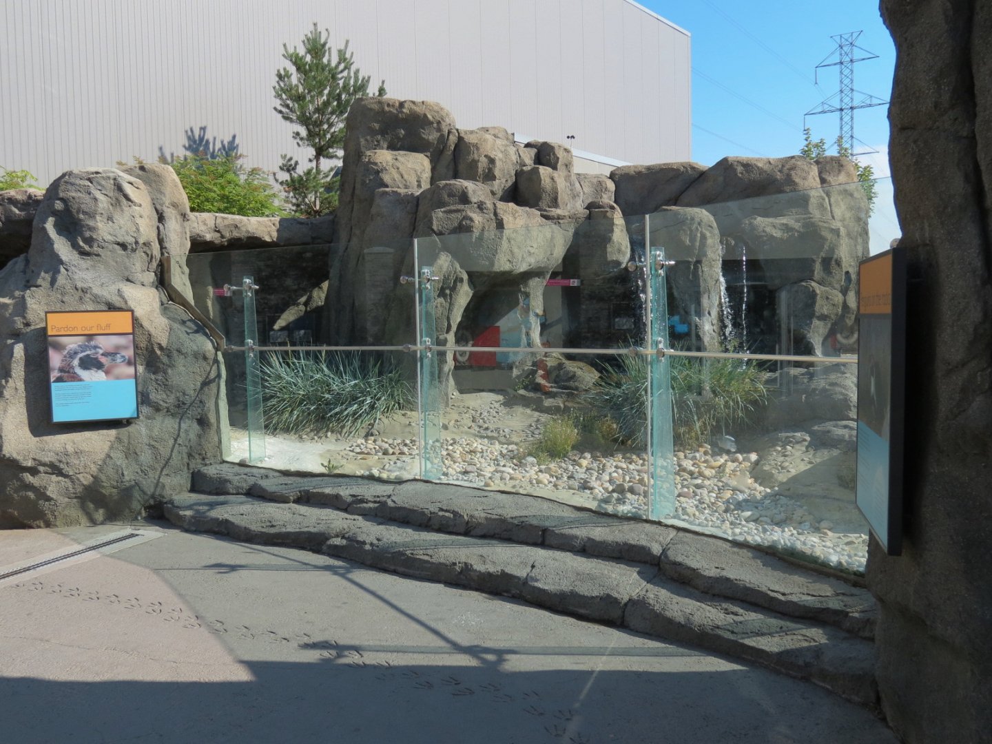 Penguin Plunge - Humboldt Penguin Exhibit