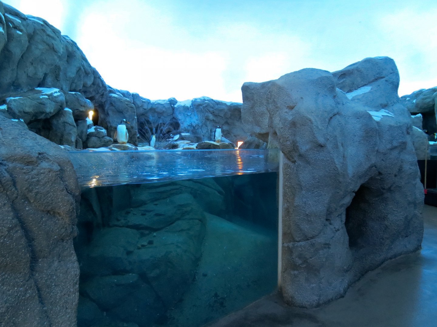 Penguin Plunge - Interior Exhibit