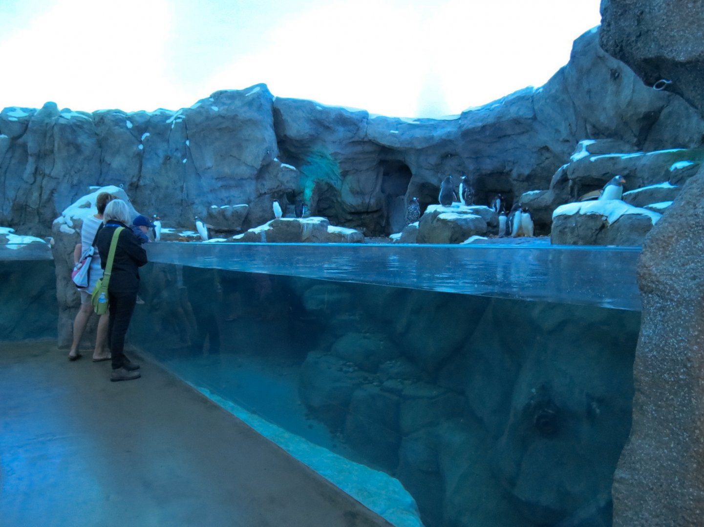 Penguin Plunge - Interior Exhibit