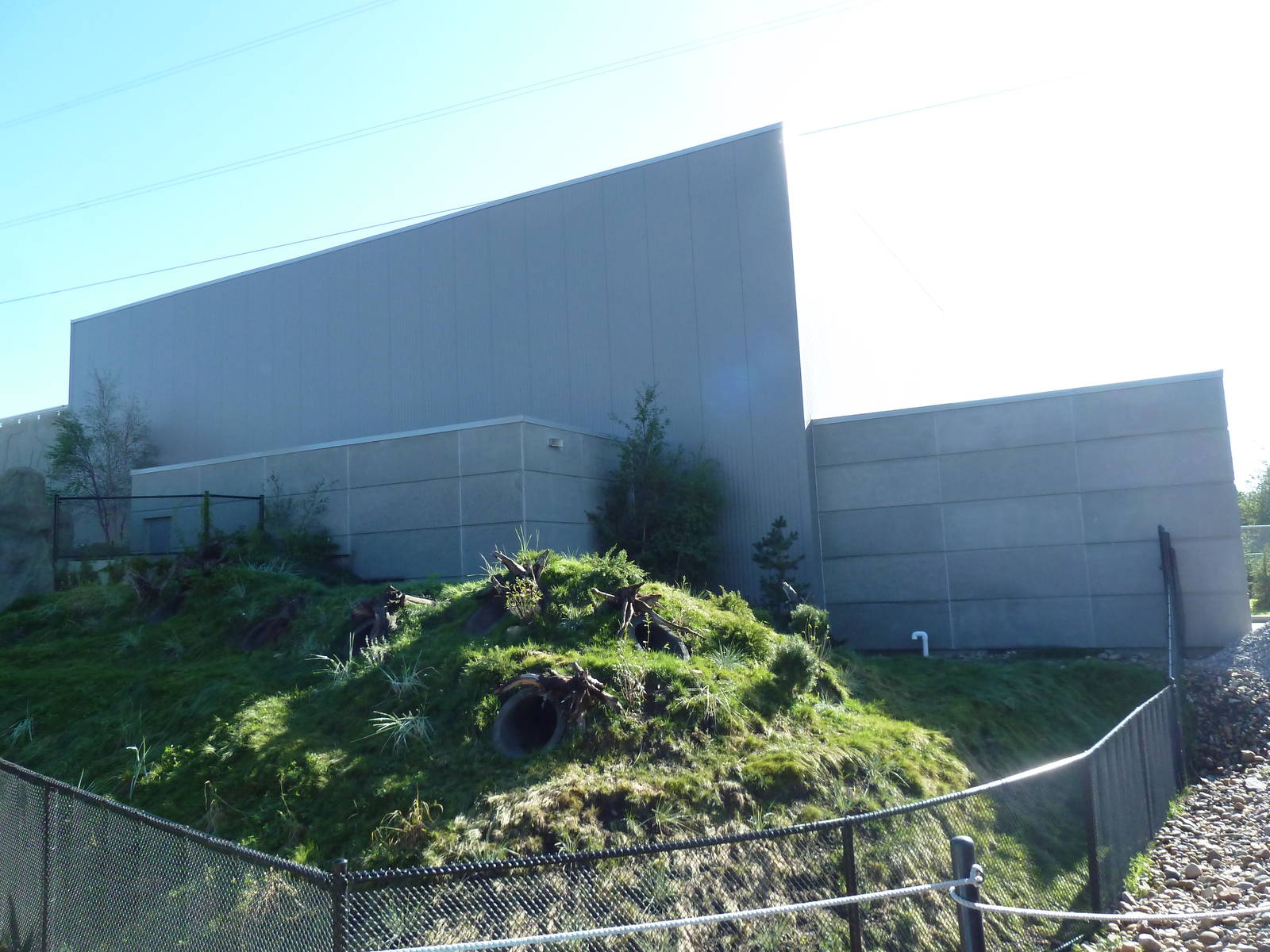 Penguin Plunge (New in 2012) - Humboldt Penguin Exhibit