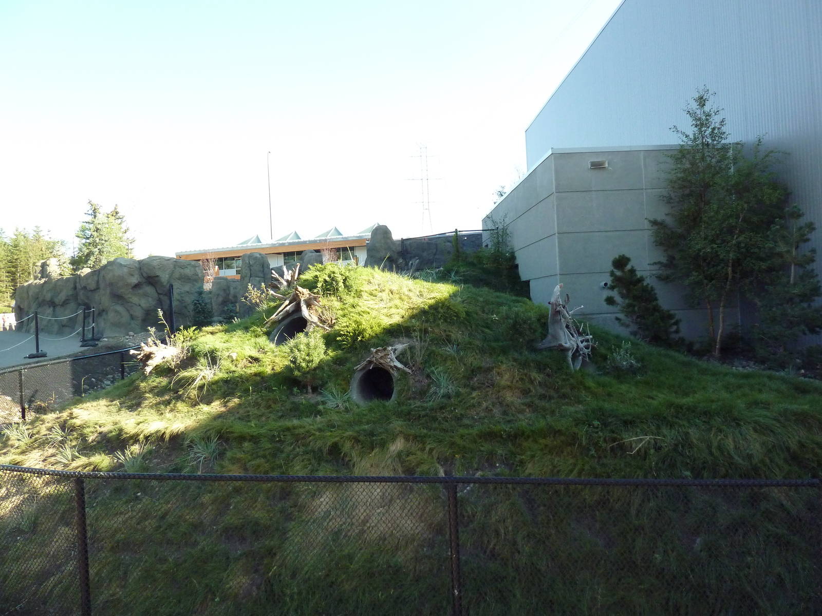 Penguin Plunge (New in 2012) - Humboldt Penguin Exhibit