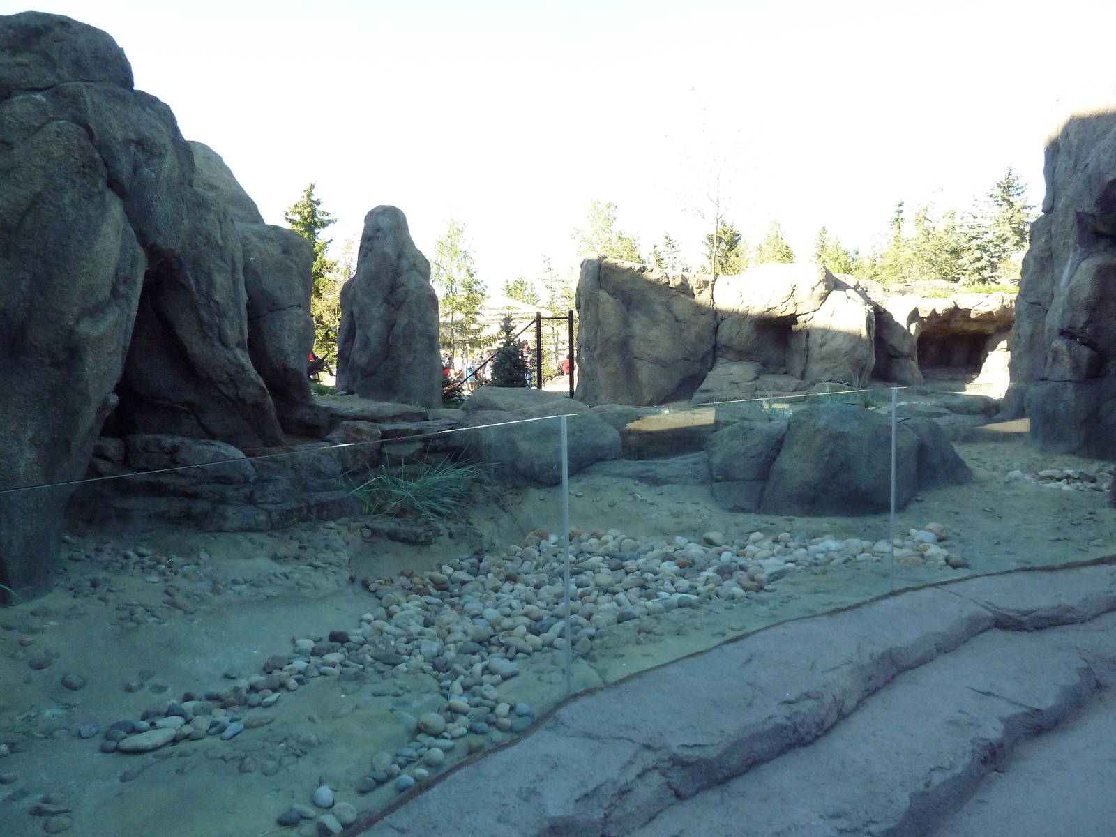 Penguin Plunge (New in 2012) - Humboldt Penguin Exhibit