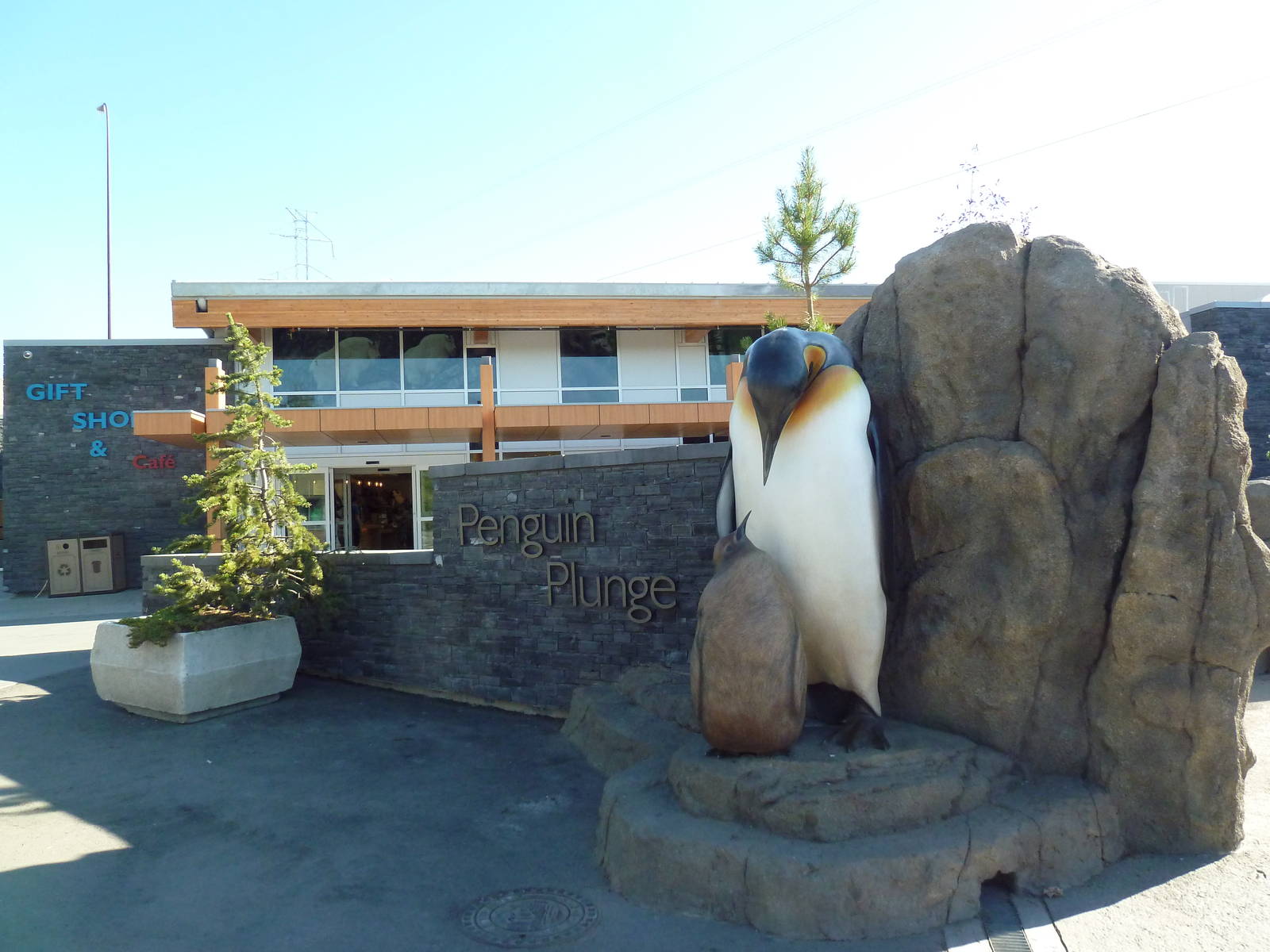 Penguin Plunge (New in 2012)