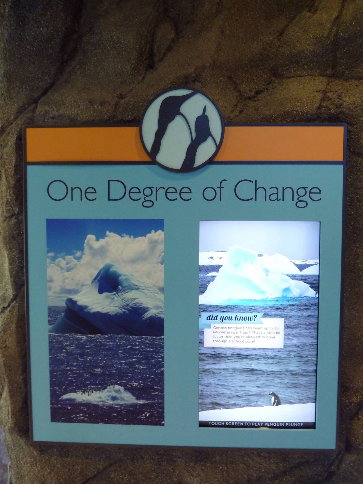 Penguin Plunge (New in 2012)