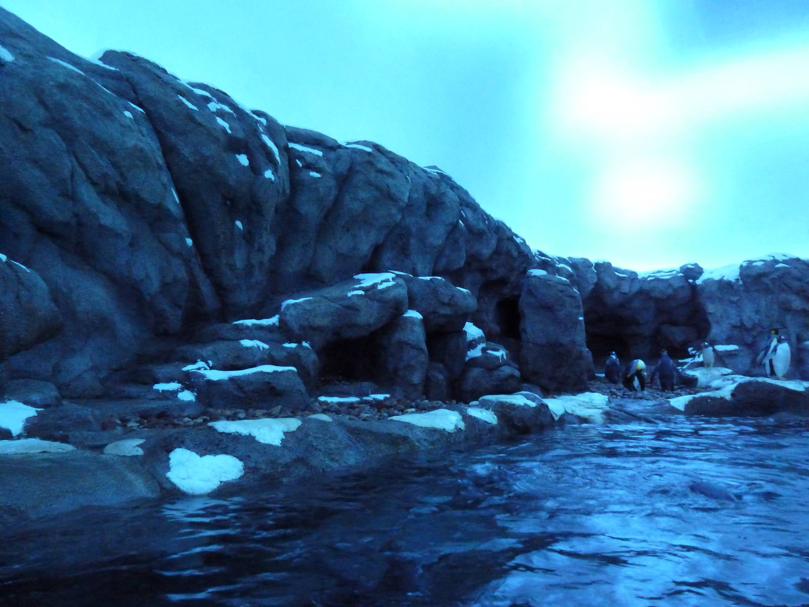 Penguin Plunge (New in 2012)