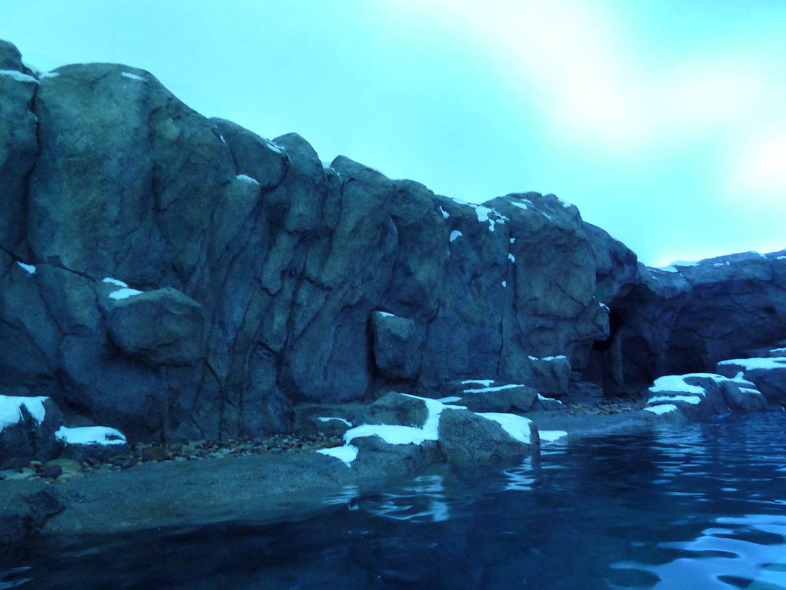 Penguin Plunge (New in 2012)