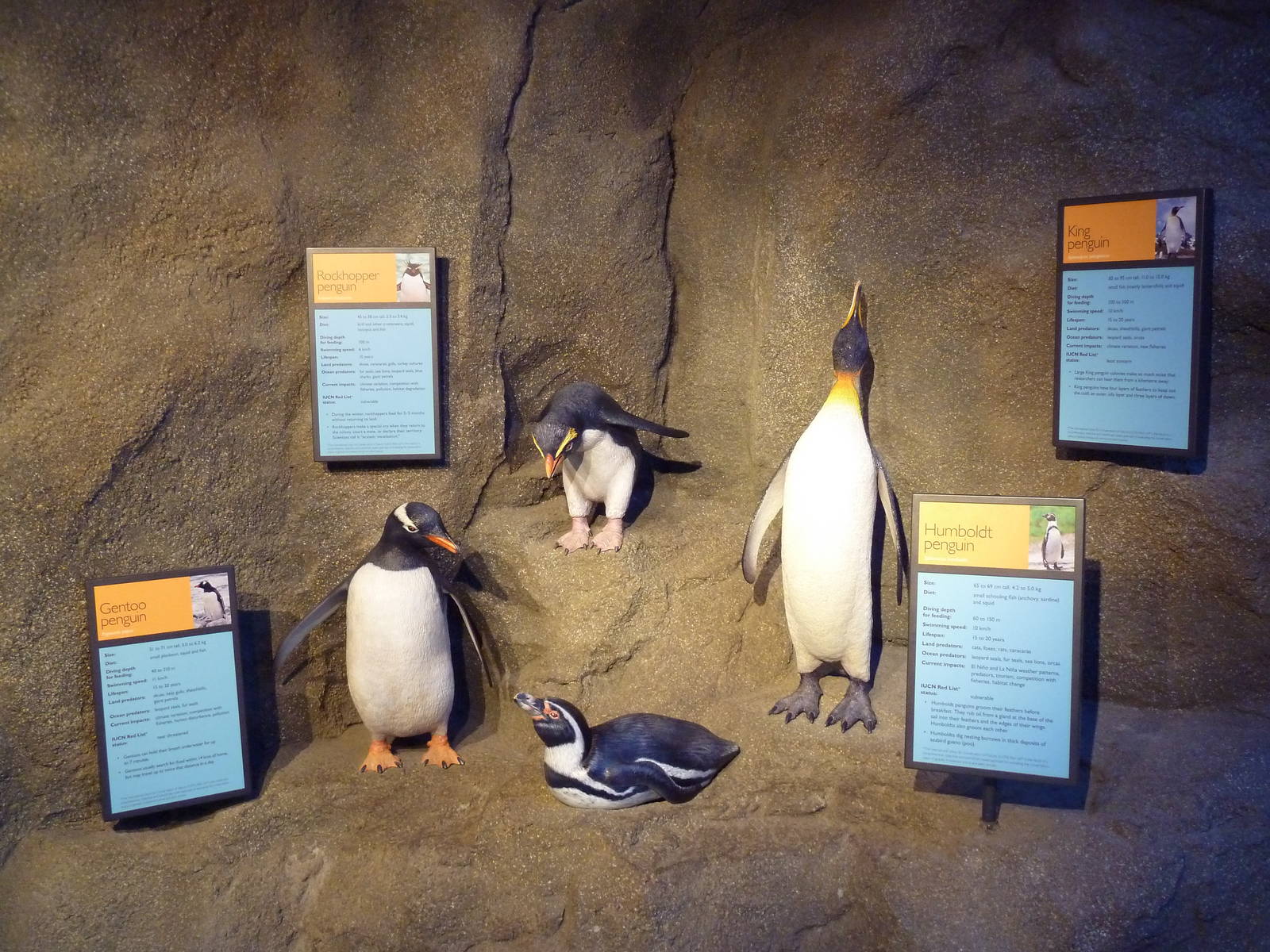 Penguin Plunge (New in 2012)