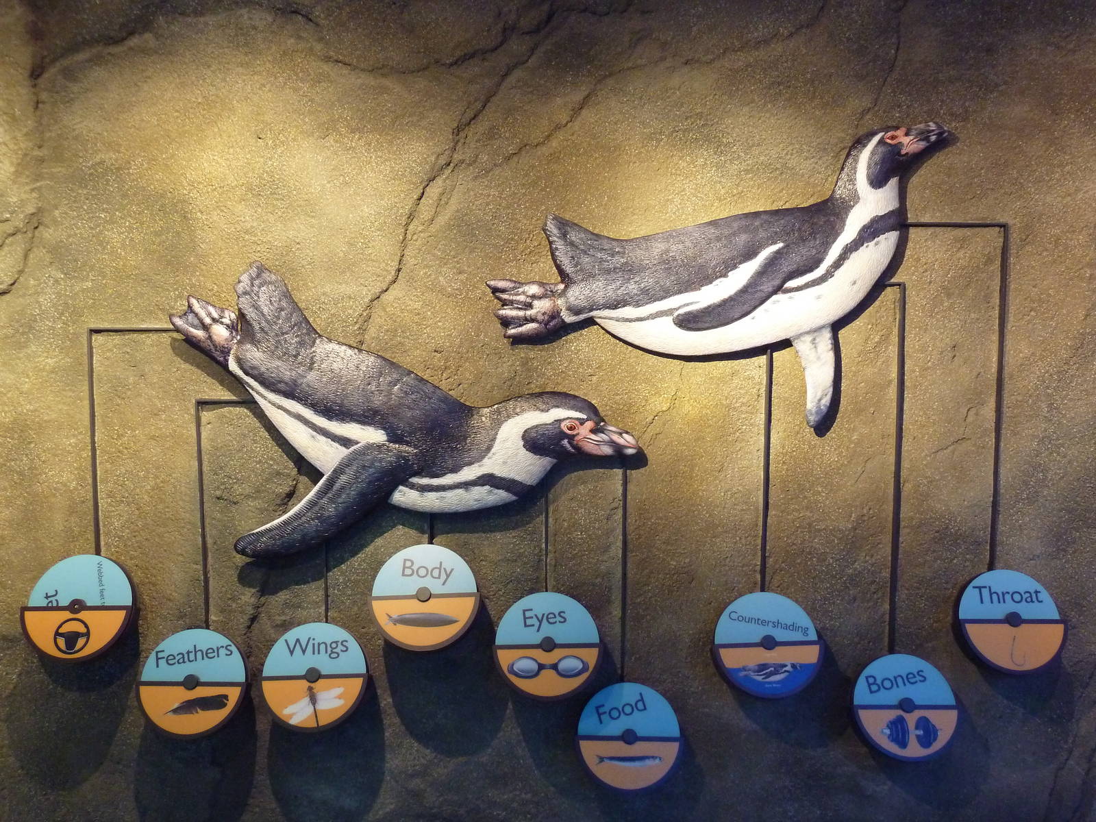 Penguin Plunge (New in 2012)