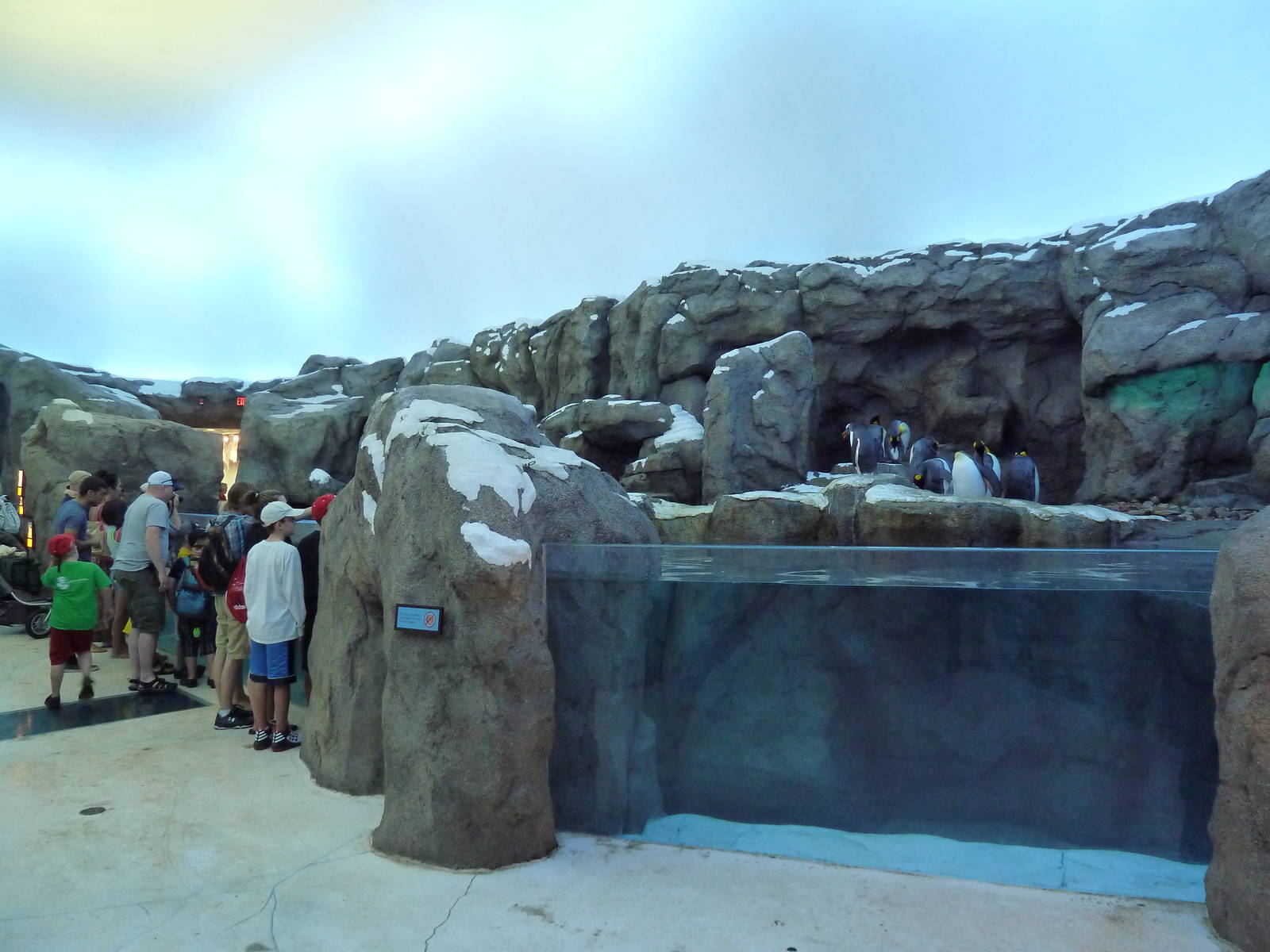 Penguin Plunge (New in 2012)