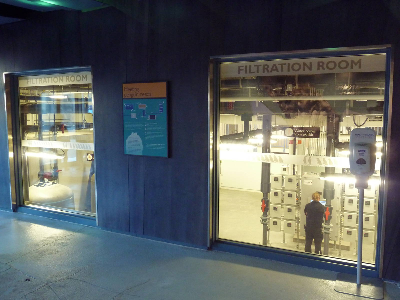 Penguin Plunge (New in 2012)