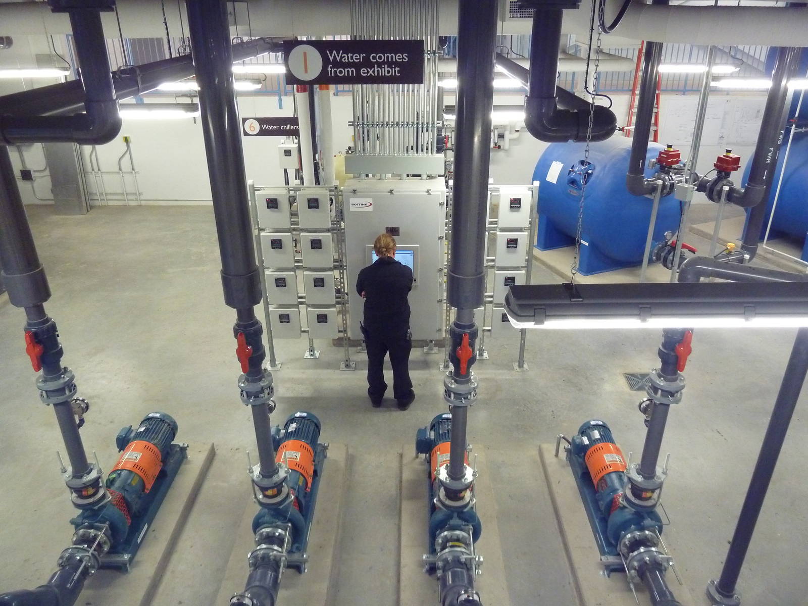 Penguin Plunge (New in 2012)