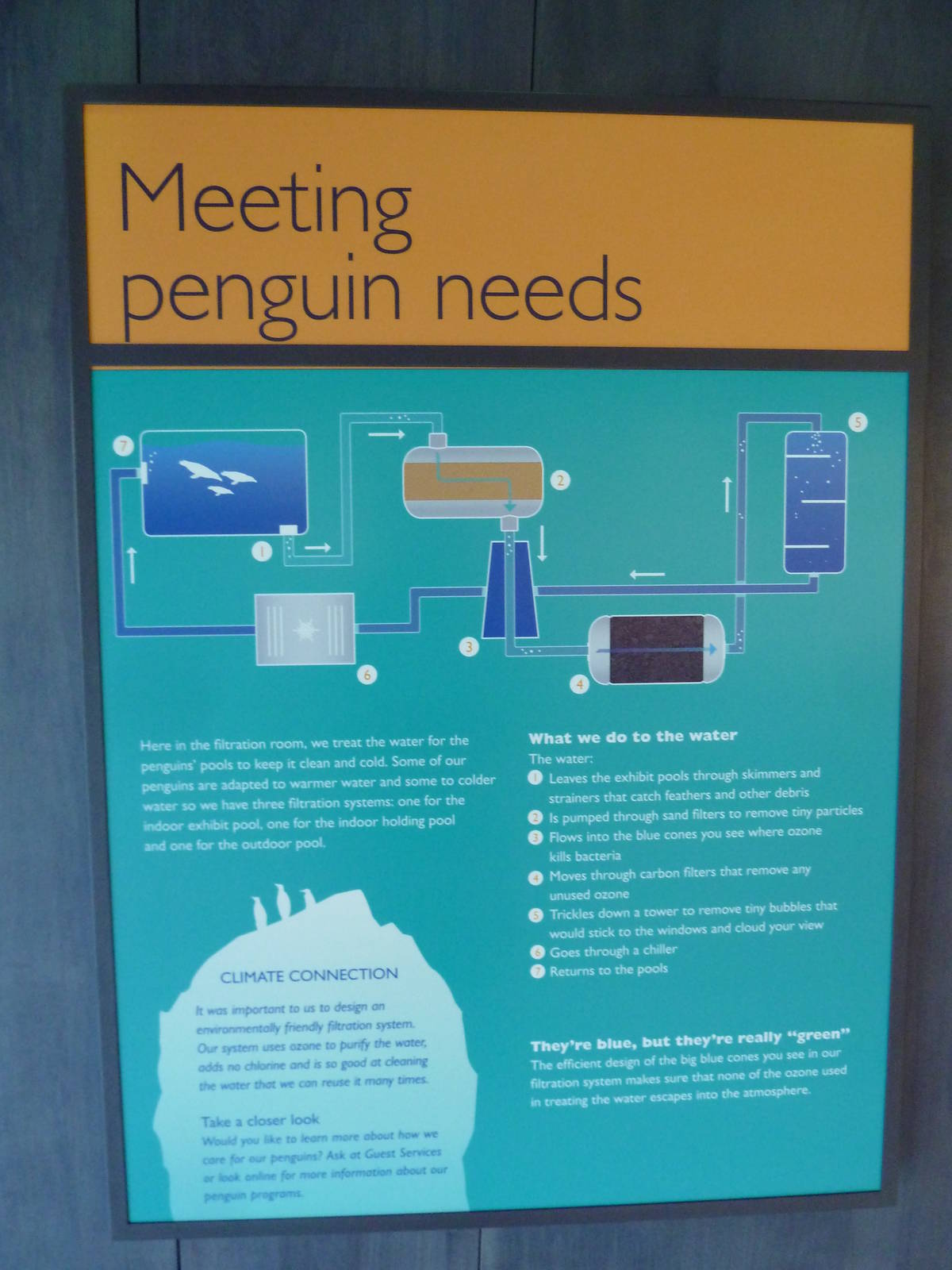 Penguin Plunge (New in 2012)