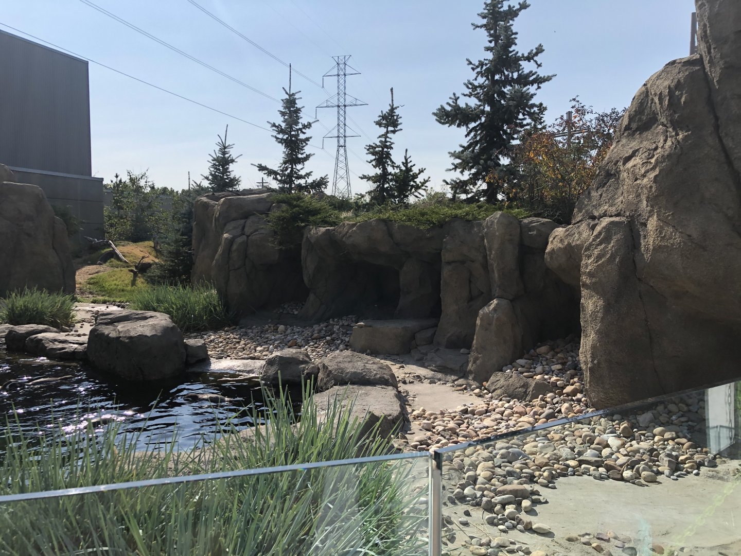 Penguin Plunge (Outdoor Yard)