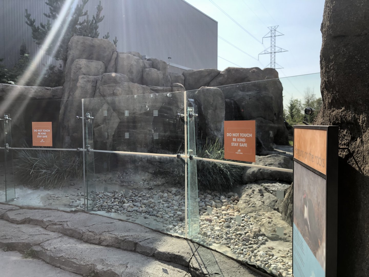 Penguin Plunge (Outdoor Yard)