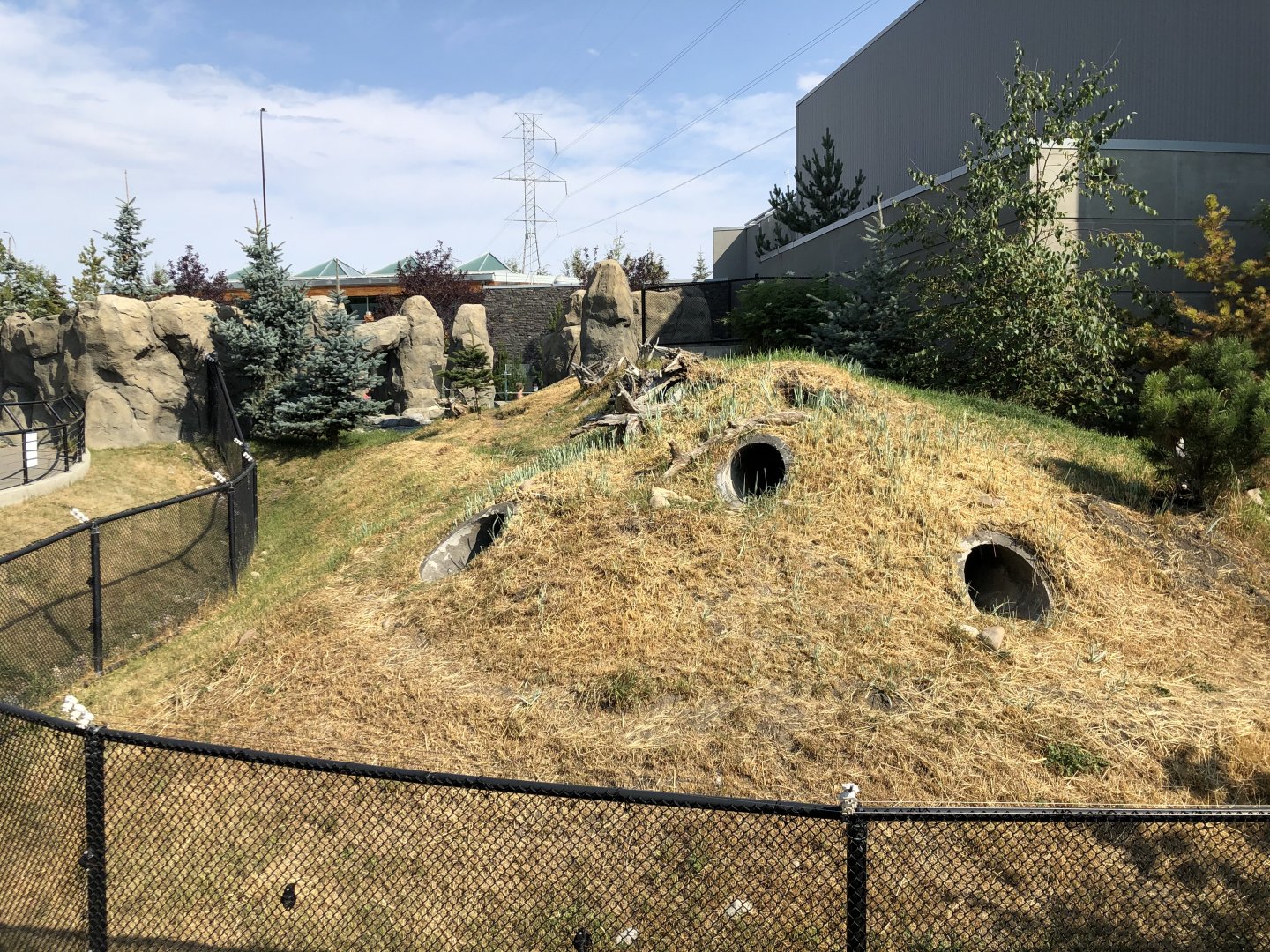 Penguin Plunge (Outdoor Yard)