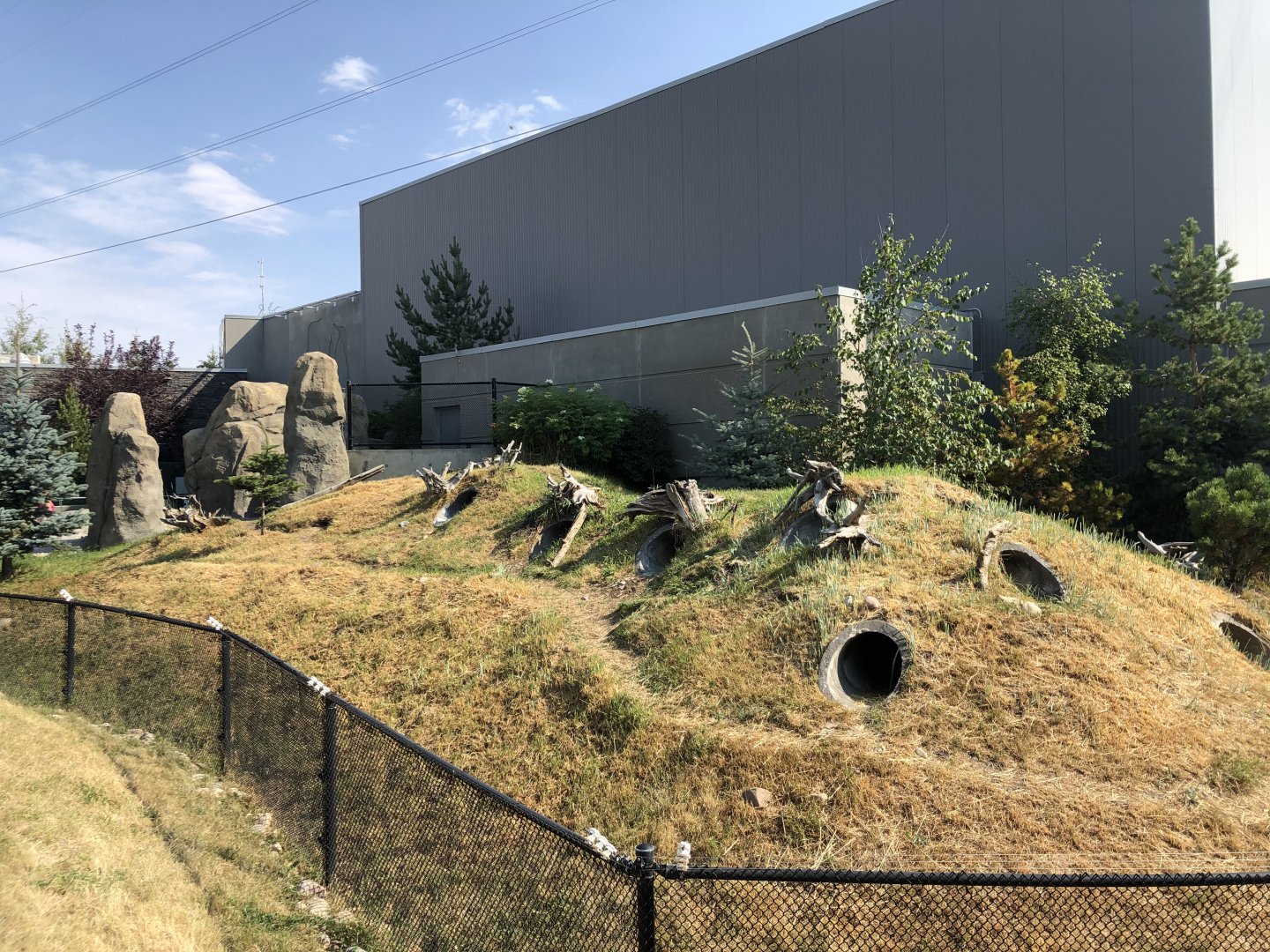 Penguin Plunge (Outdoor Yard)