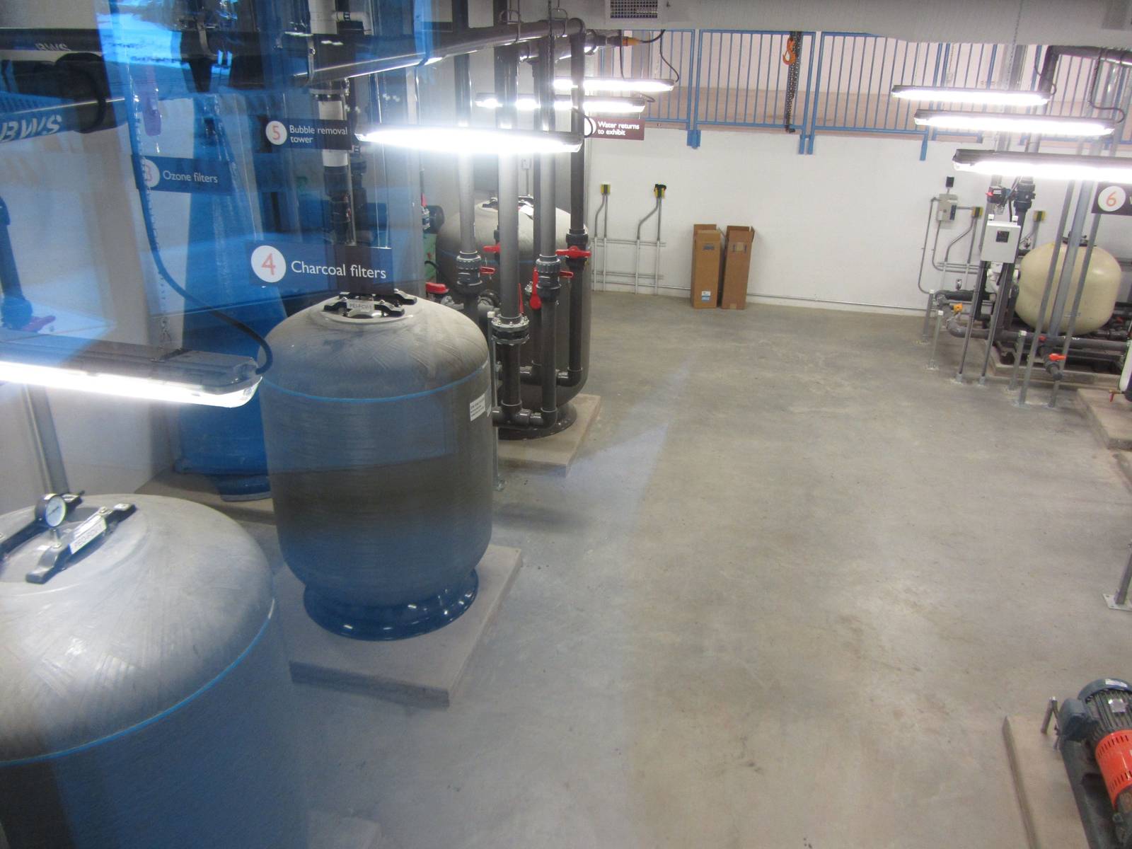 Penguin Plunge Sneak Peak February 16th