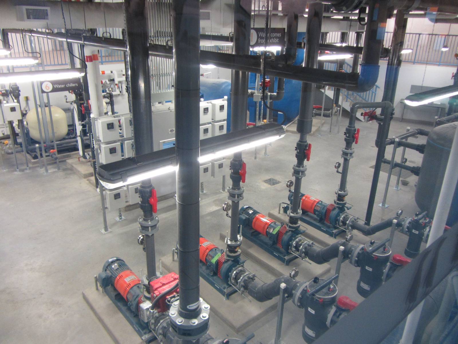 Penguin Plunge Sneak Peak February 16th