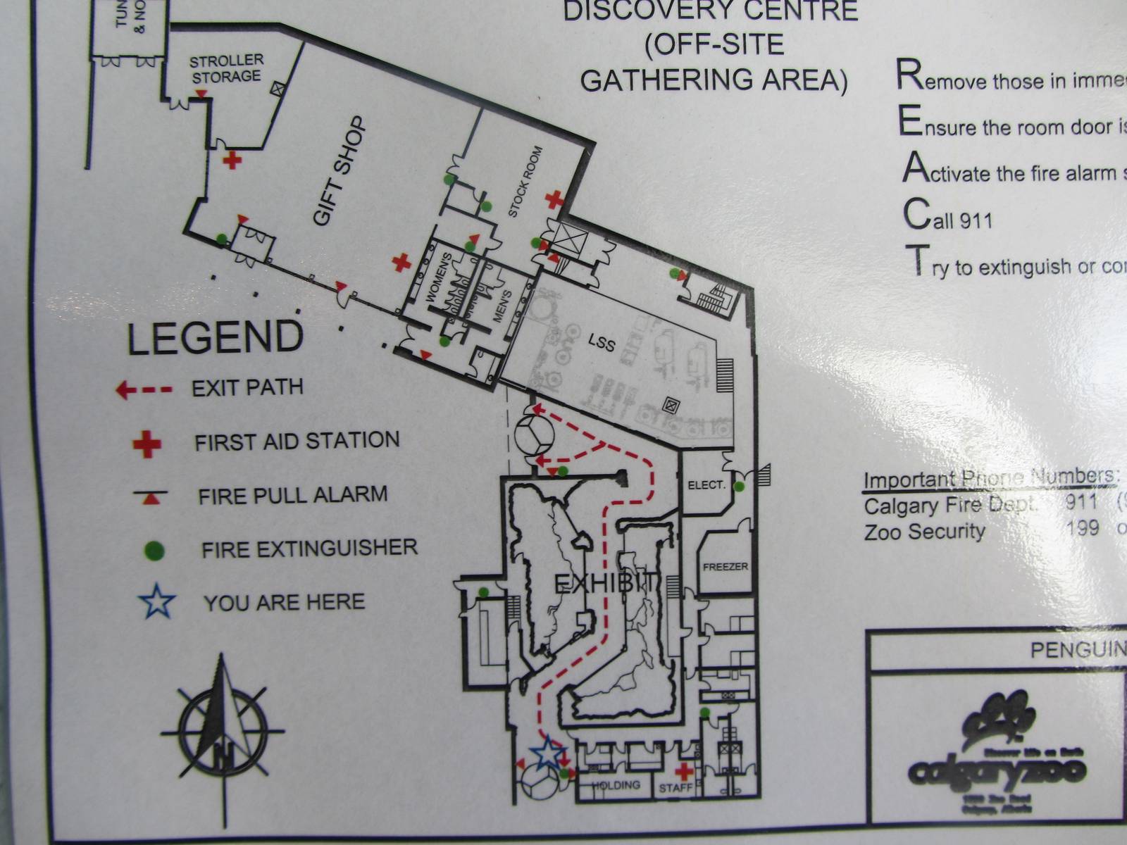 Penguin Plunge Sneak Peak February 16th