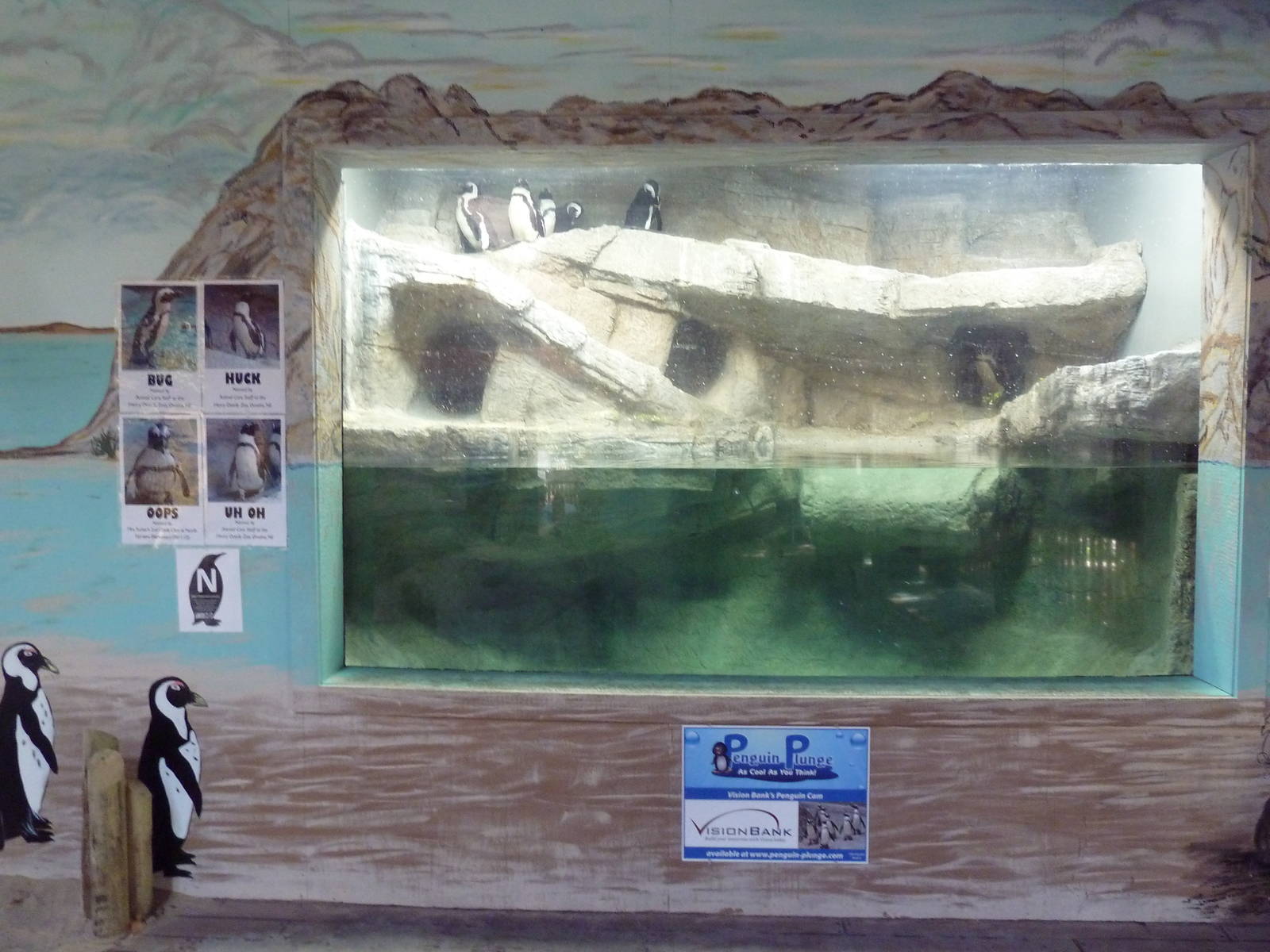 Penguin Plunge (Temporary Exhibit)
