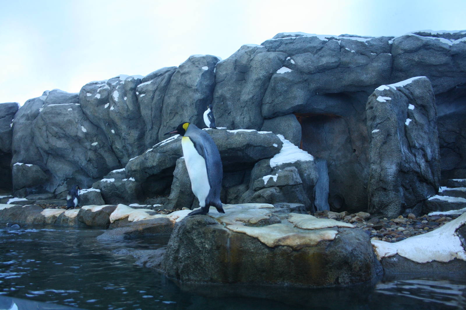 Penguin Plunge (world-class and almost a replica of the one at Saint Louis