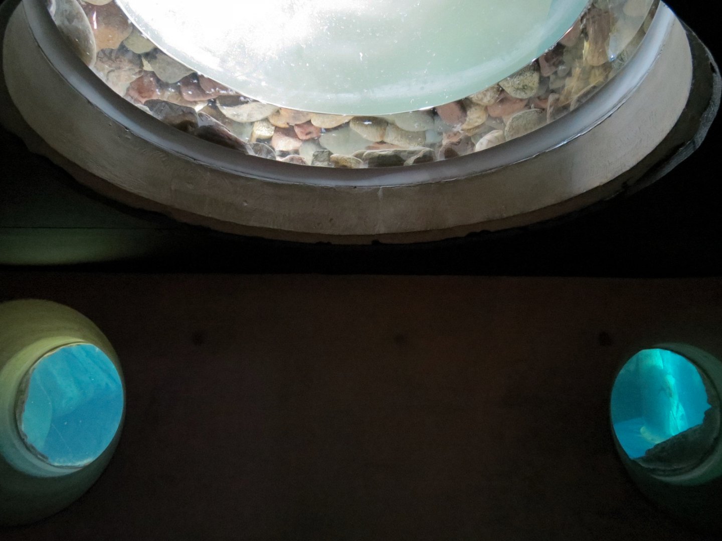 Penguin Point - African Black-footed Penguin Exhibit - Crawl Tunnel View