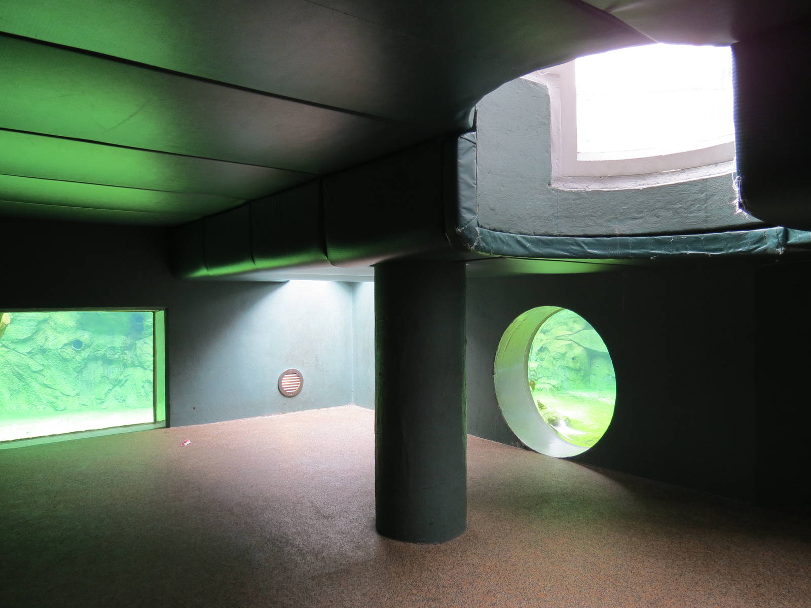 Penguin Point - Crawl Space For Pop-up and Underwater Viewing Windows