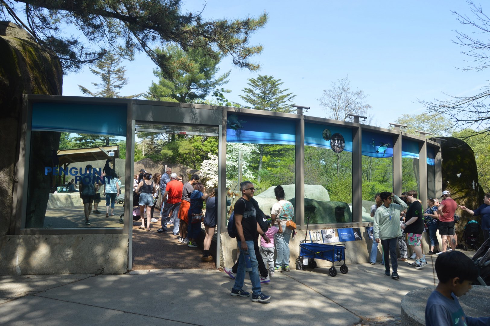 Penguin Point - Entrance