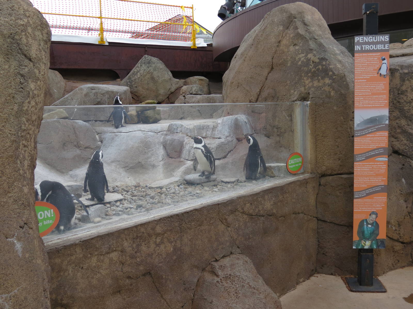 Penguin Point - Exterior