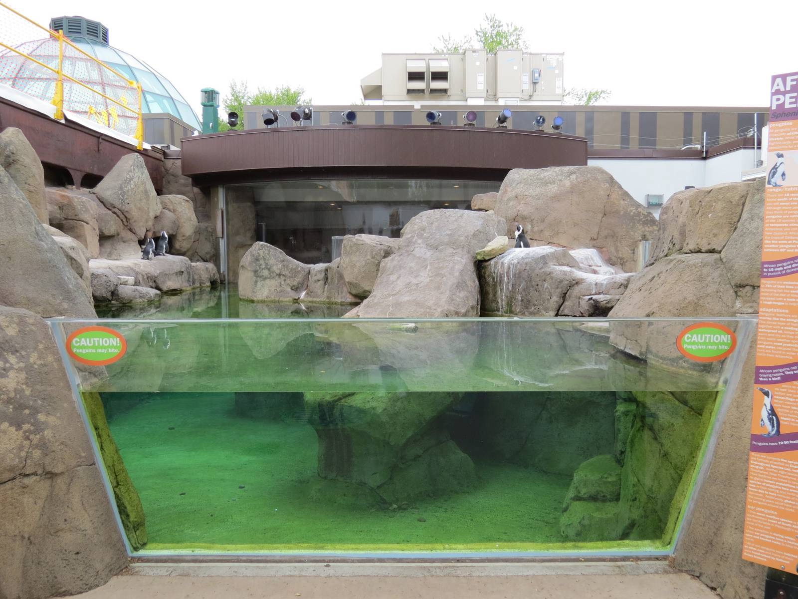 Penguin Point - Exterior